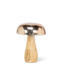 Mushroom With Silver Cap