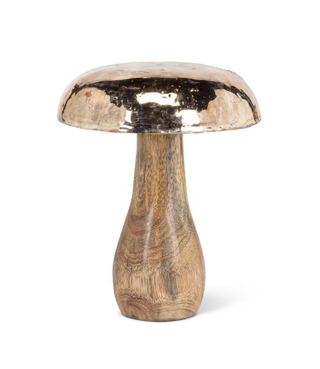 Mushroom With Silver Cap
