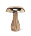 Mushroom With Silver Cap
