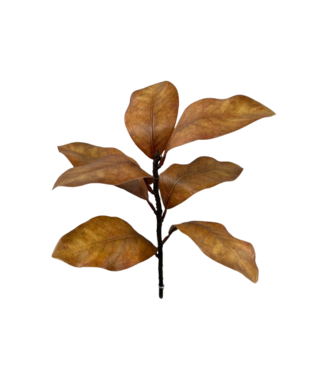 17" Fall Brown Magnolia Spray