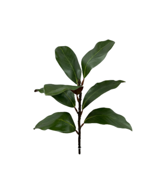17" Green Magnolia Spray