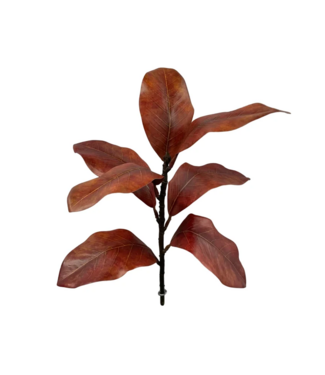 17" Red Magnolia Spray