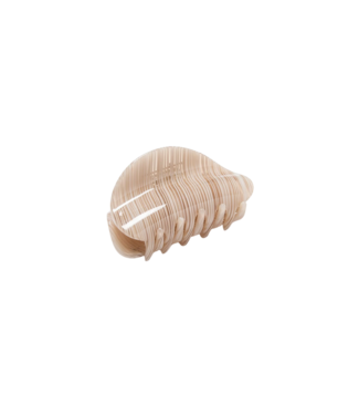 CHUNKS Juno Claw in Oak