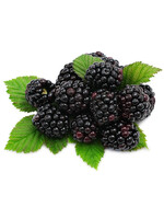 Ri Ecig Blackberry White Label (House) E-Liquid