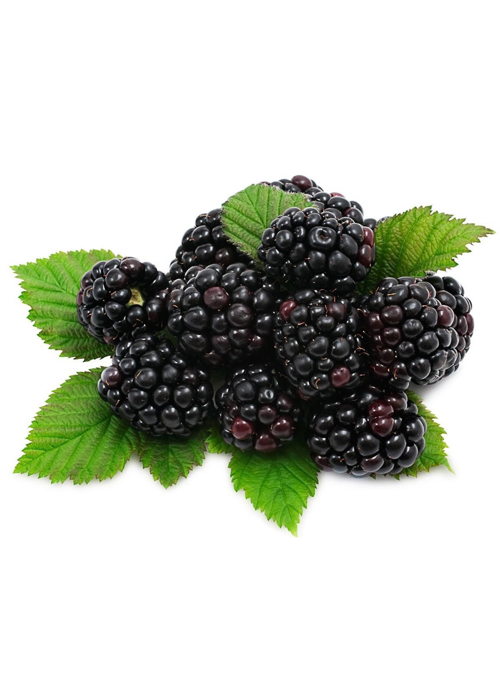 Ri Ecig Blackberry White Label (House) E-Liquid