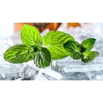 Ri Ecig Menthol White Label (House) E-Liquid