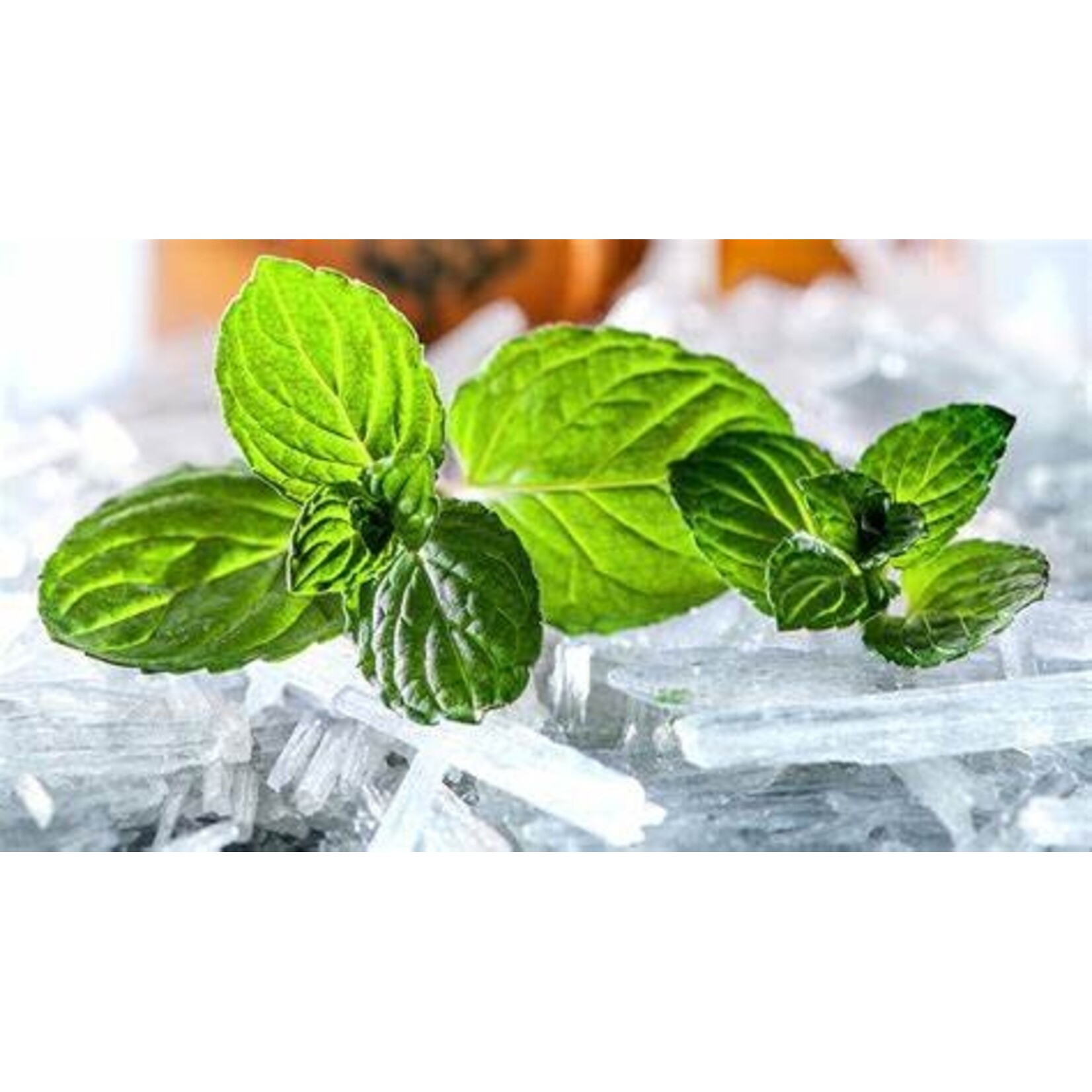 Ri Ecig Menthol White Label (House) E-Liquid