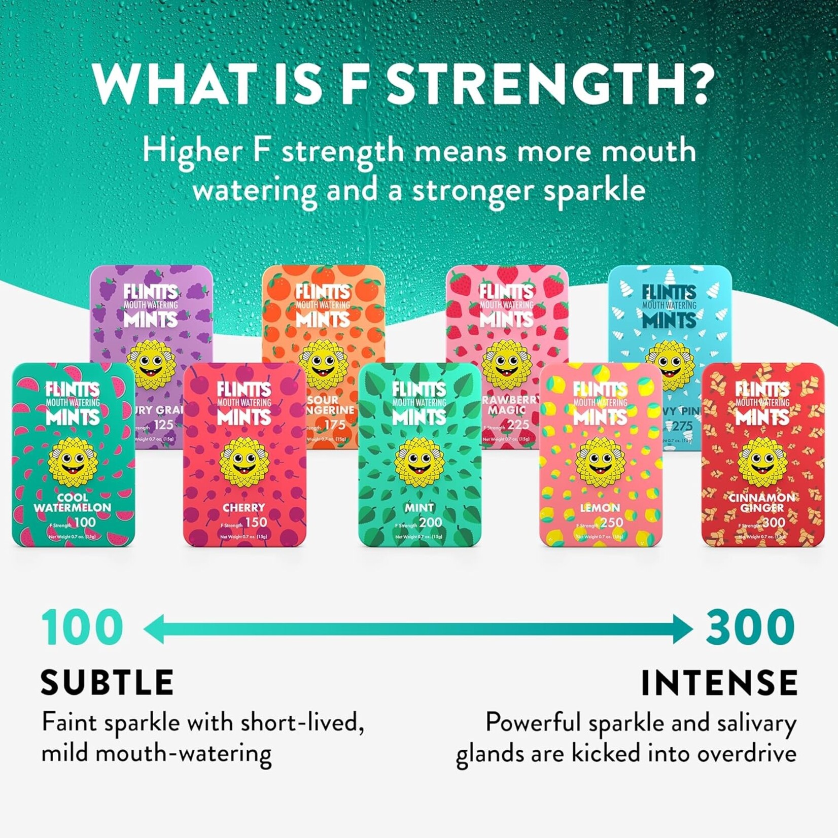 Flintts Flintts Mouth Watering Mints