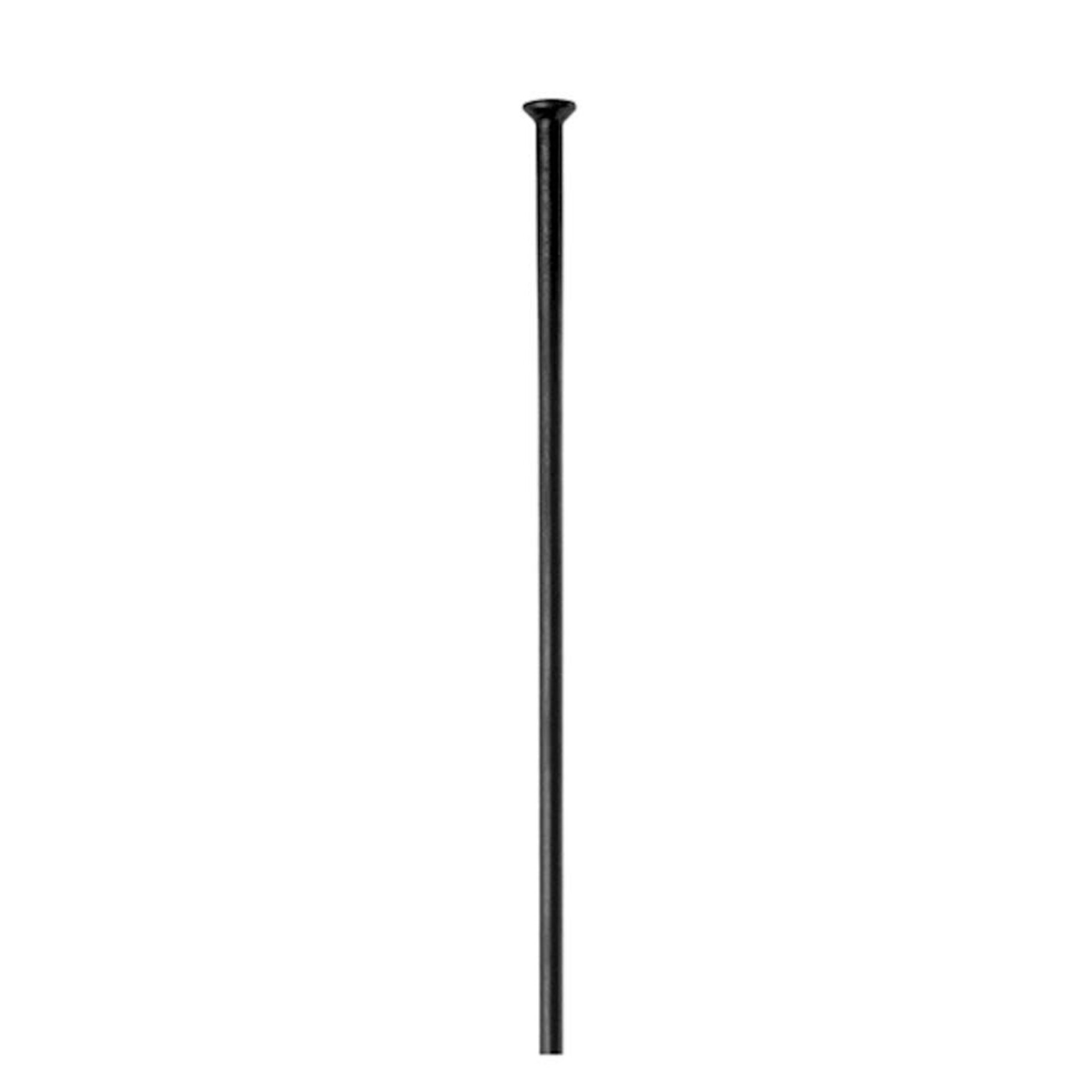 DT Swiss Each - DT Swiss Champion Spoke: 2.0mm, Custom Length, Straight Pull, Black