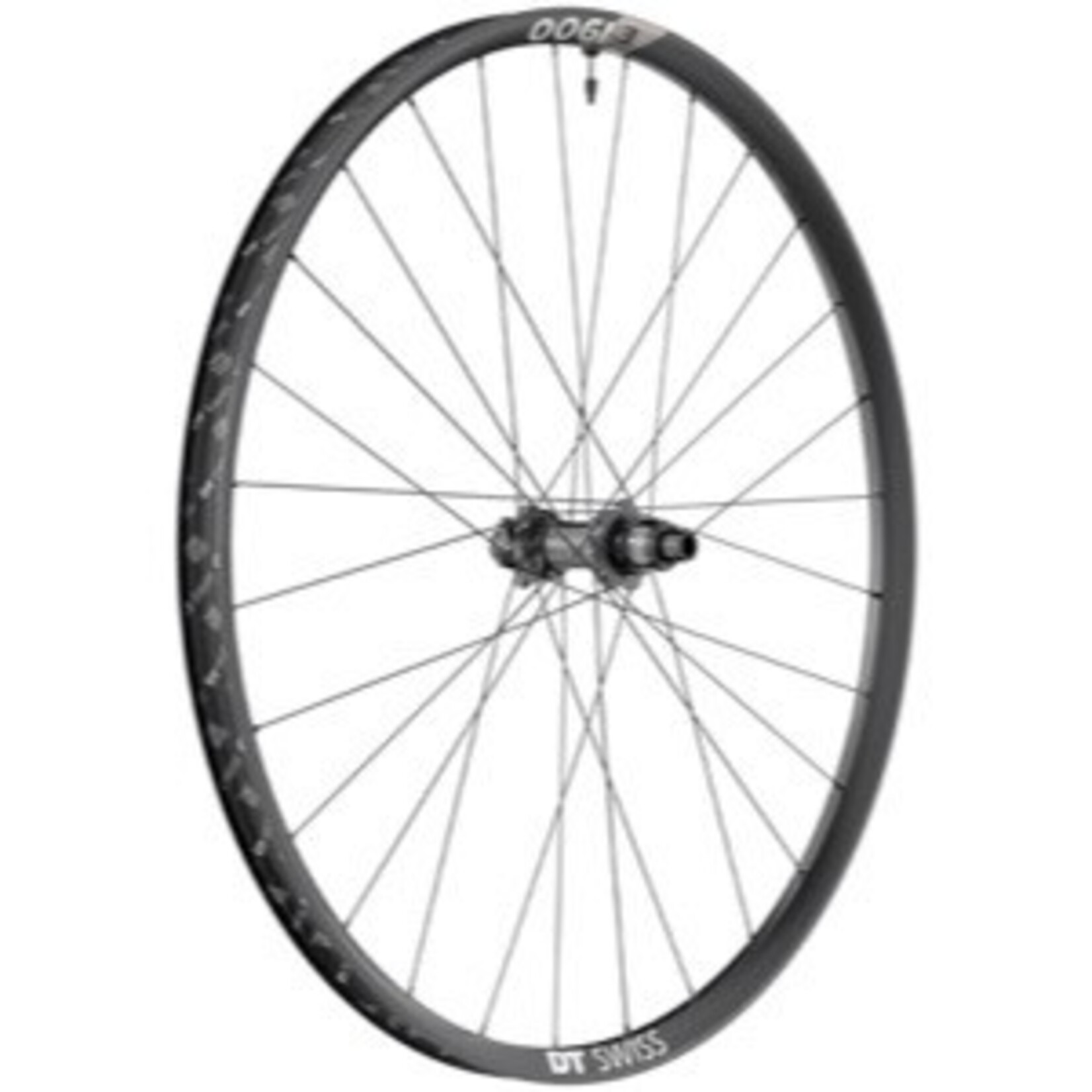 DT Swiss E 1900 Spline 30 Rear Wheel - 29", 12 x 148mm, Center-Lock, Micro Spline, Black