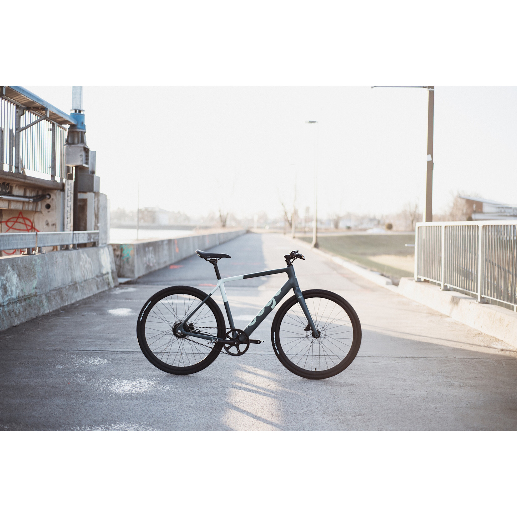 Ebgo Modal TB Electric Bike