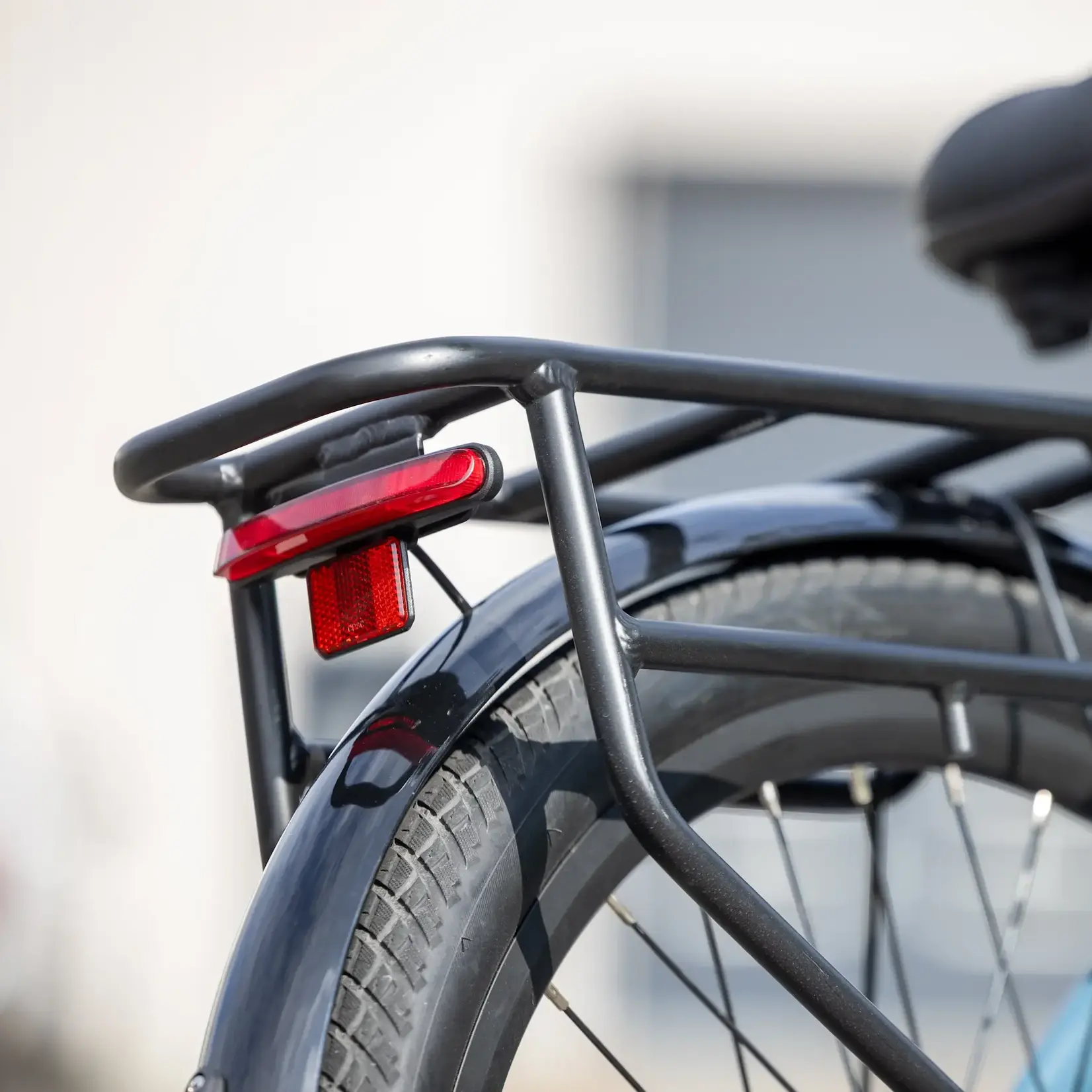 Ebgo Aura Electric Bike