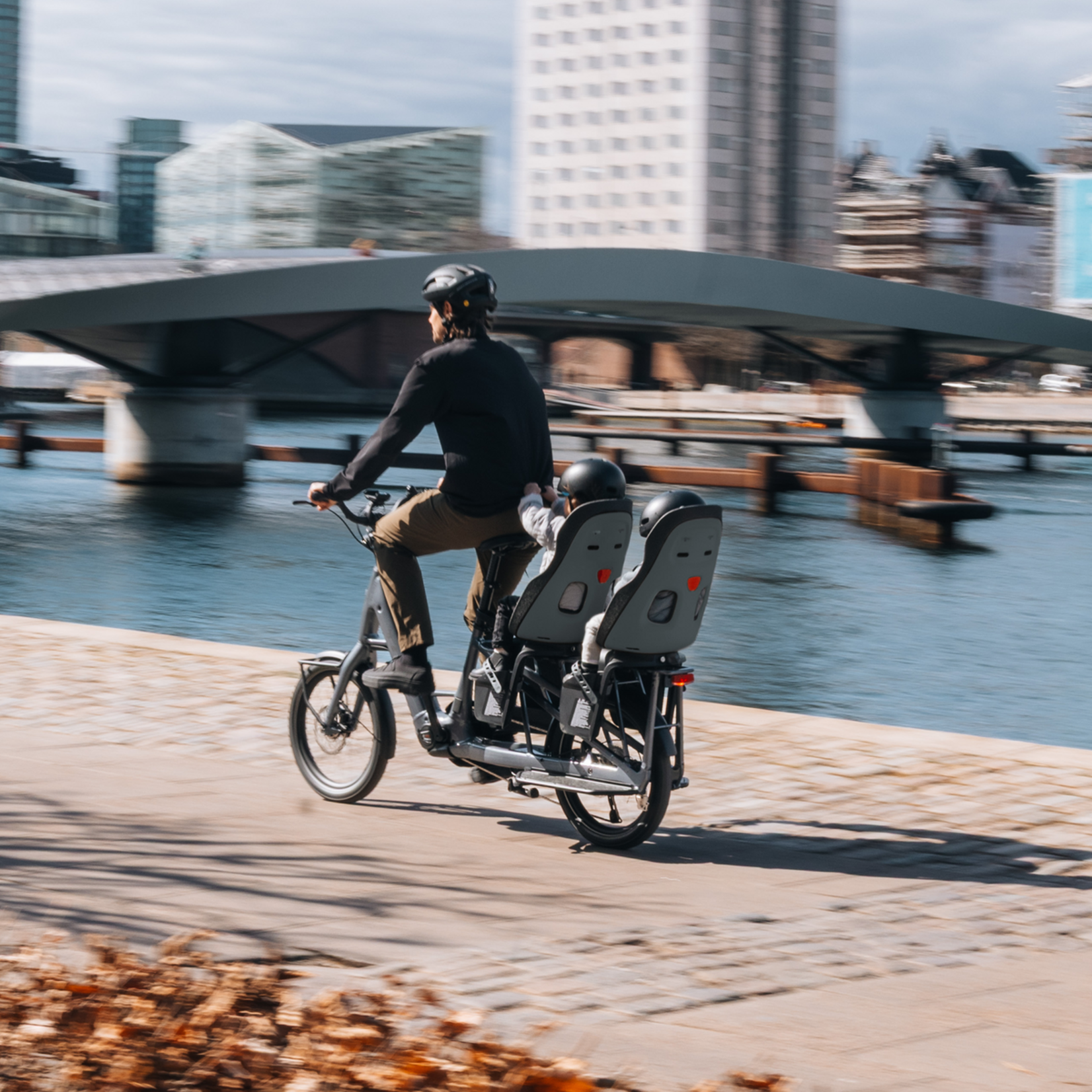 Thule Siège Yepp Nexxt 2 Maxi - Porte-bagage