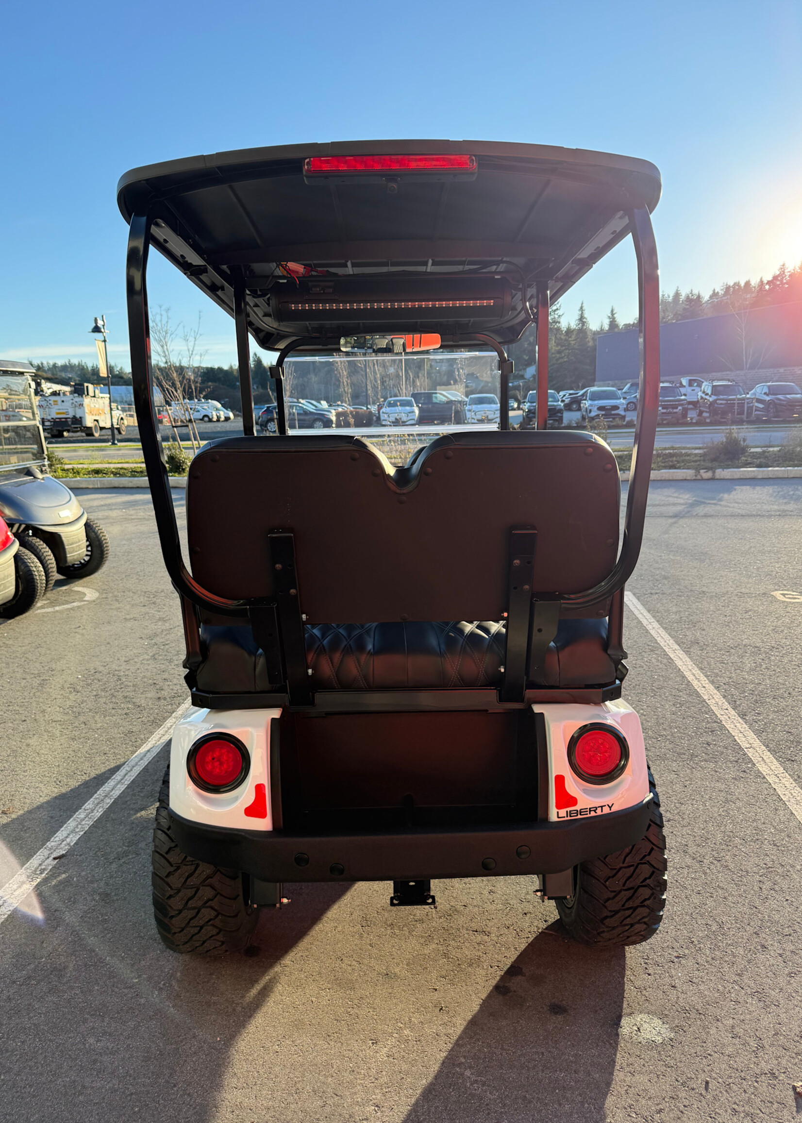 EZGO 2026 EZGO Liberty Lithium White 3671141