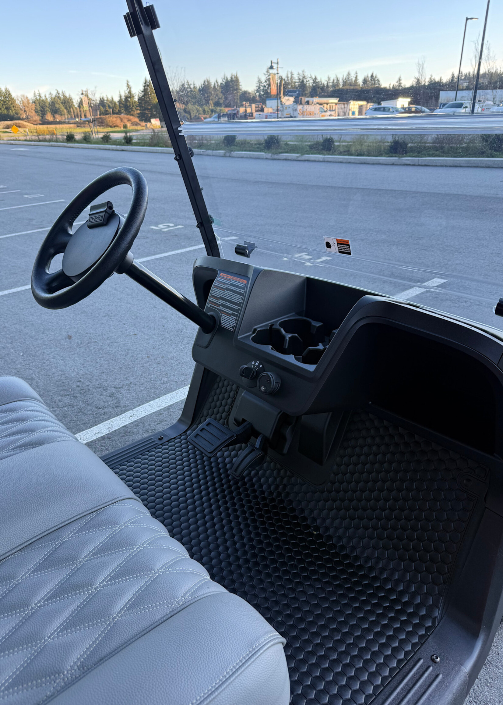 EZGO 2023 EZGO RXV Elite Platinum