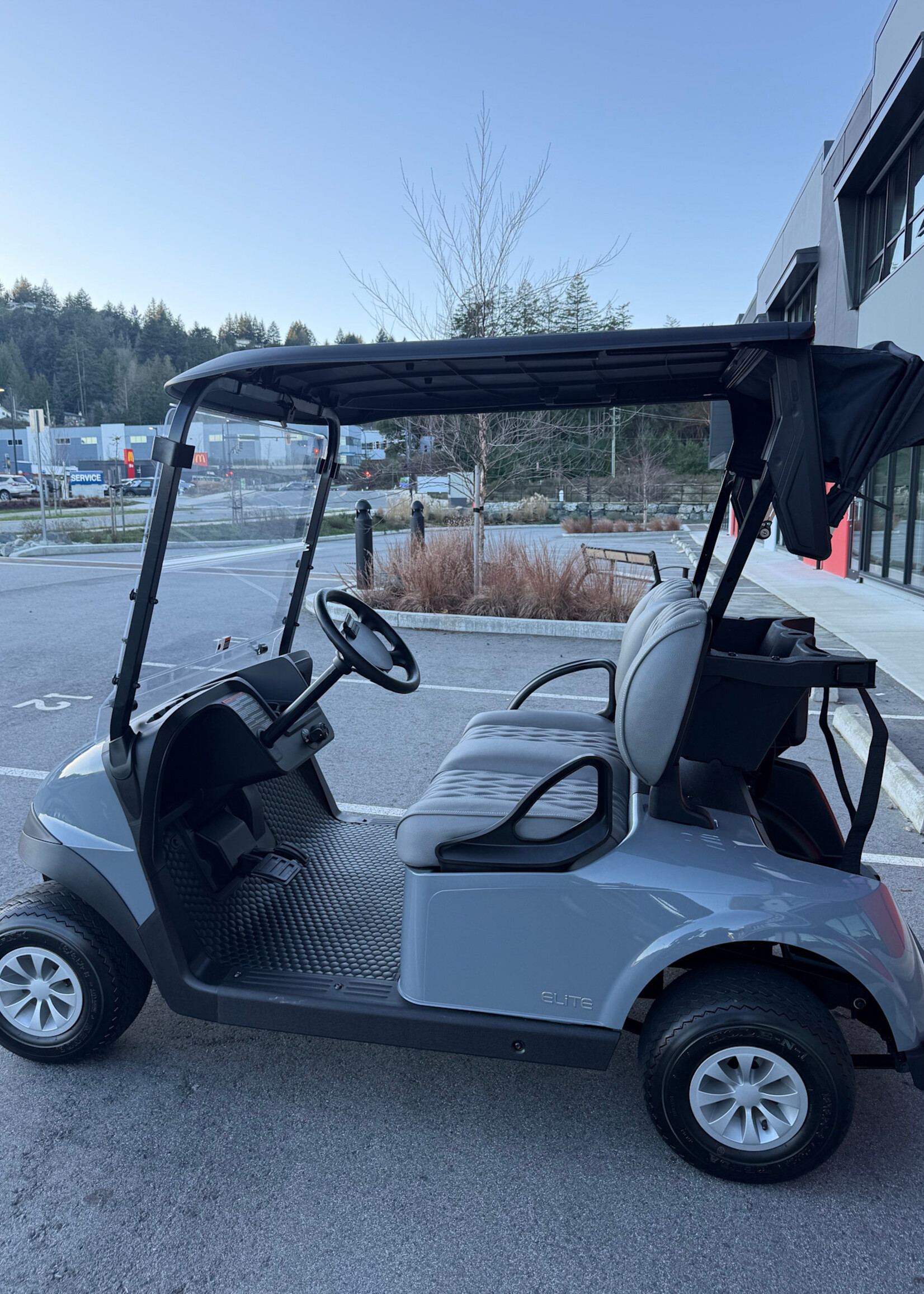 EZGO 2023 EZGO RXV Elite Platinum