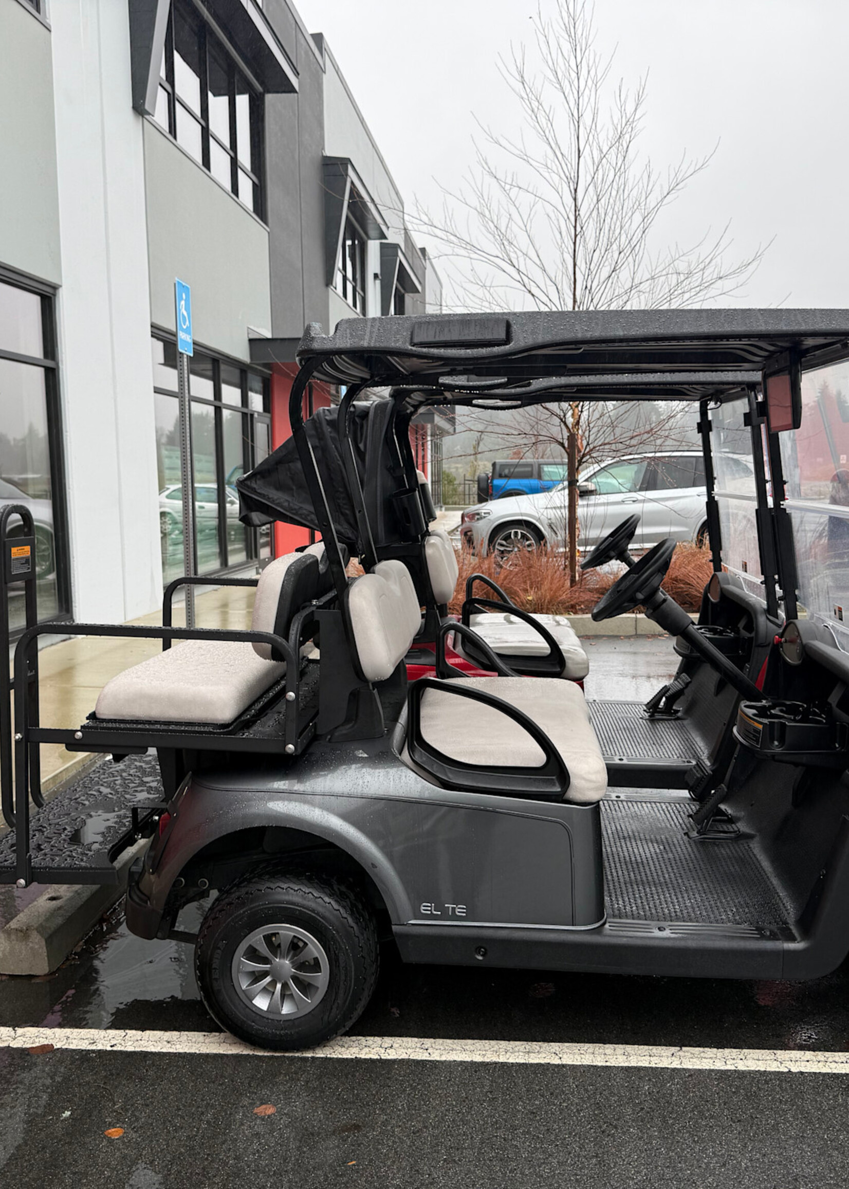 EZGO 2021 EZGO RXV Elite Lithium Grey 5613772