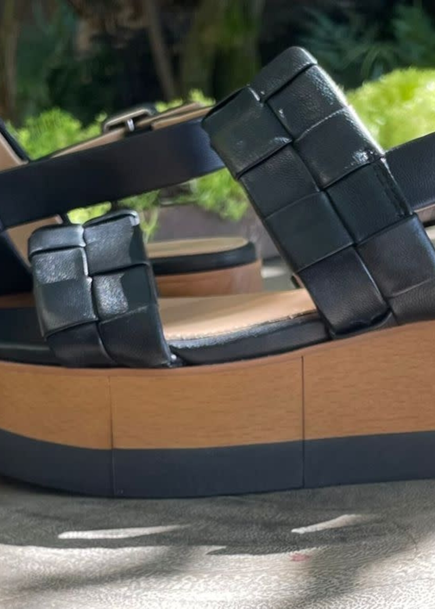 VB VB ZAPATO WENDI PALMA