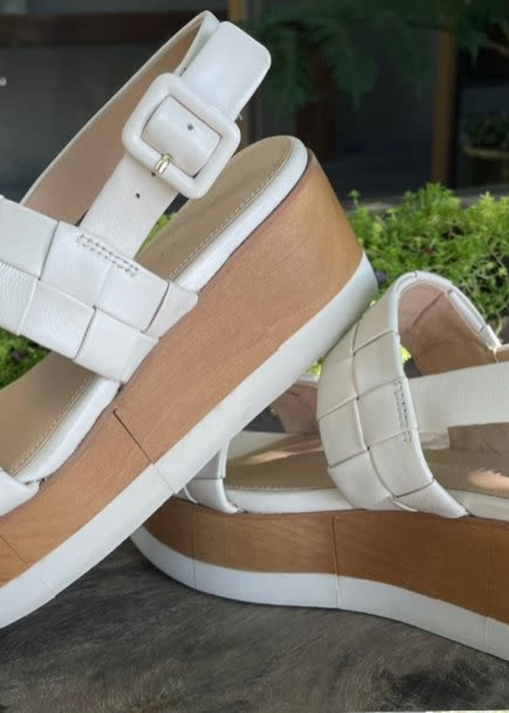 VB VB ZAPATO WENDI PALMA