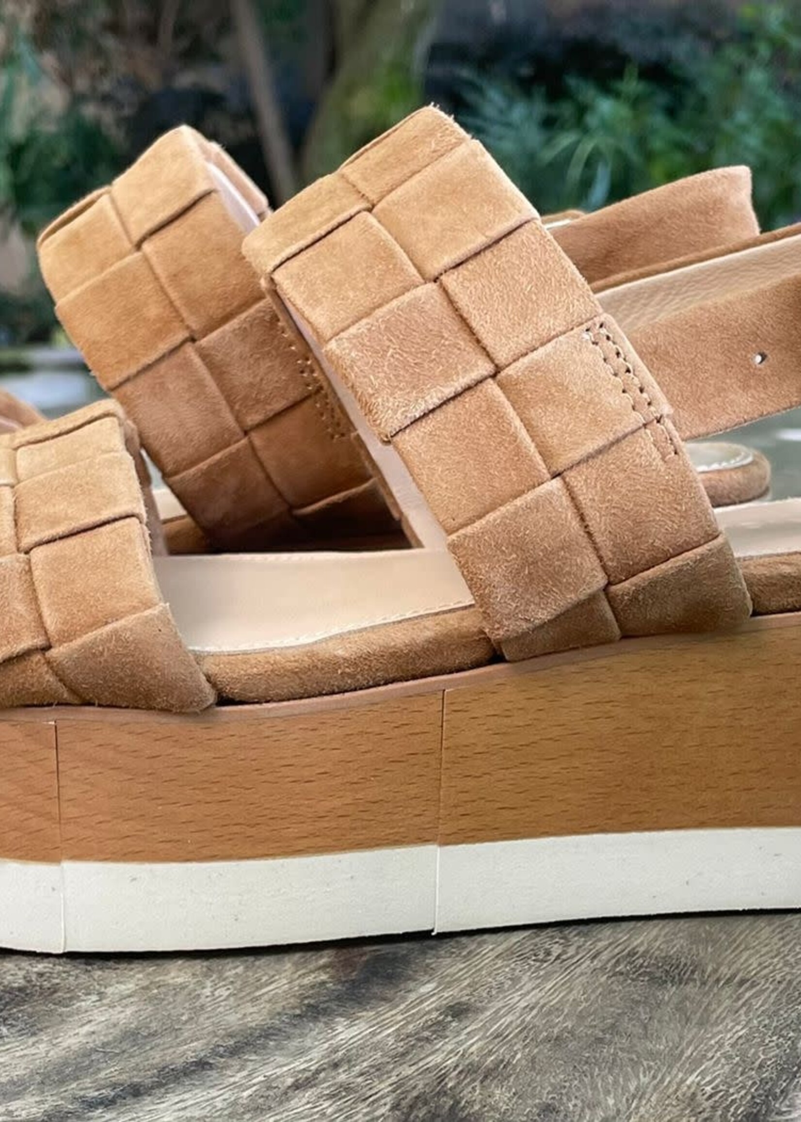 VB VB ZAPATO WENDI PALMA