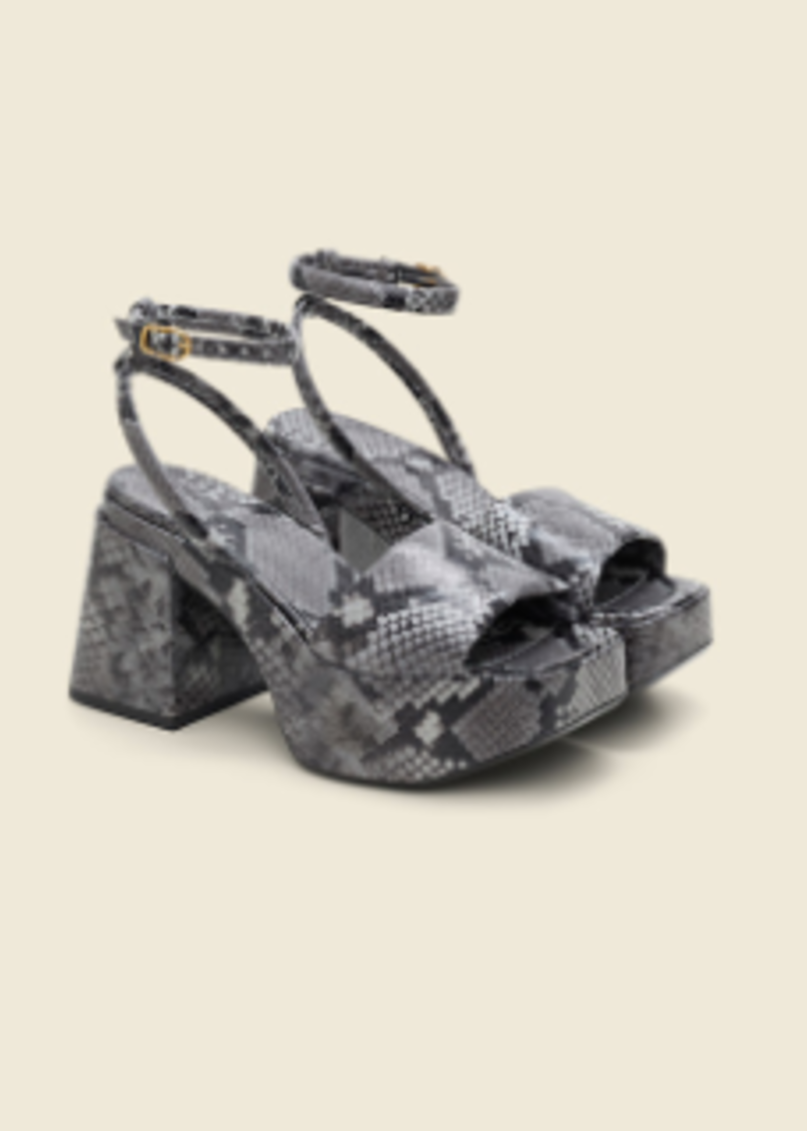 SCH SCH ZAPATO EXOTIC COOLNESS