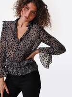 ZAD ZAD BLUSA TUYA BURNOUT