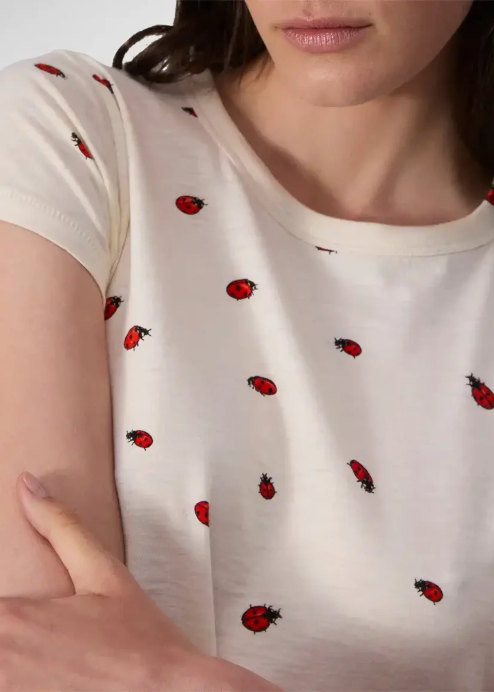 RB RB T-SHIRT ALLOVER LADYBUG
