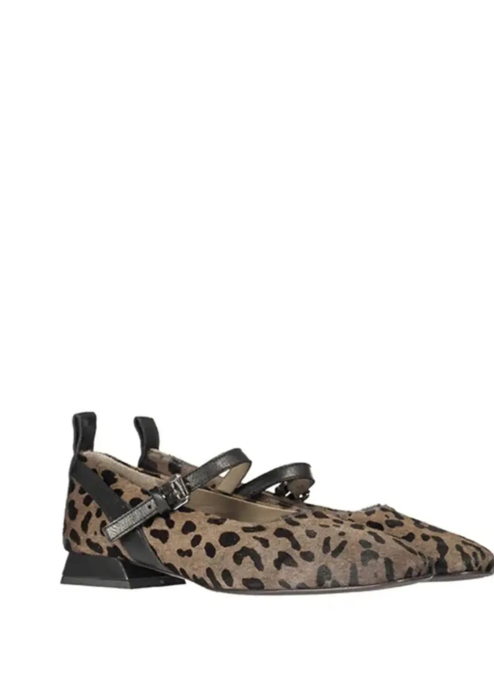 HEBE HEBE ZAPATO SCARPA ST LEOPARDO
