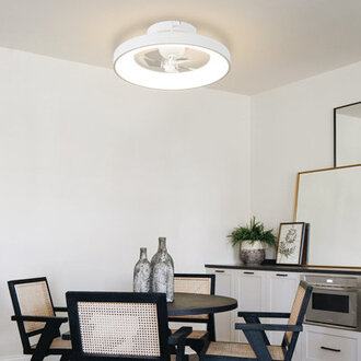 Dimmable Ceiling Fans With Lights with 360 Selectable Fans