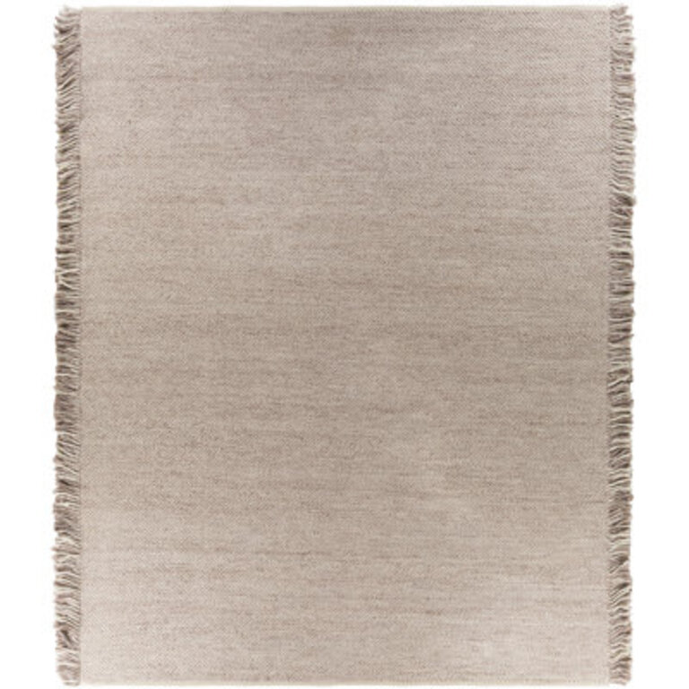 Hinton Handmade Hand Woven Recycled P.E.T. Indoor / Outdoor Area Rug in Taupe/Cream