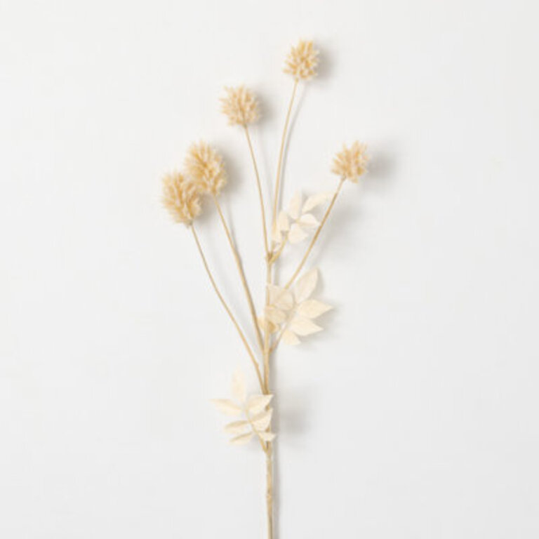 Madie Thistle Arrangement