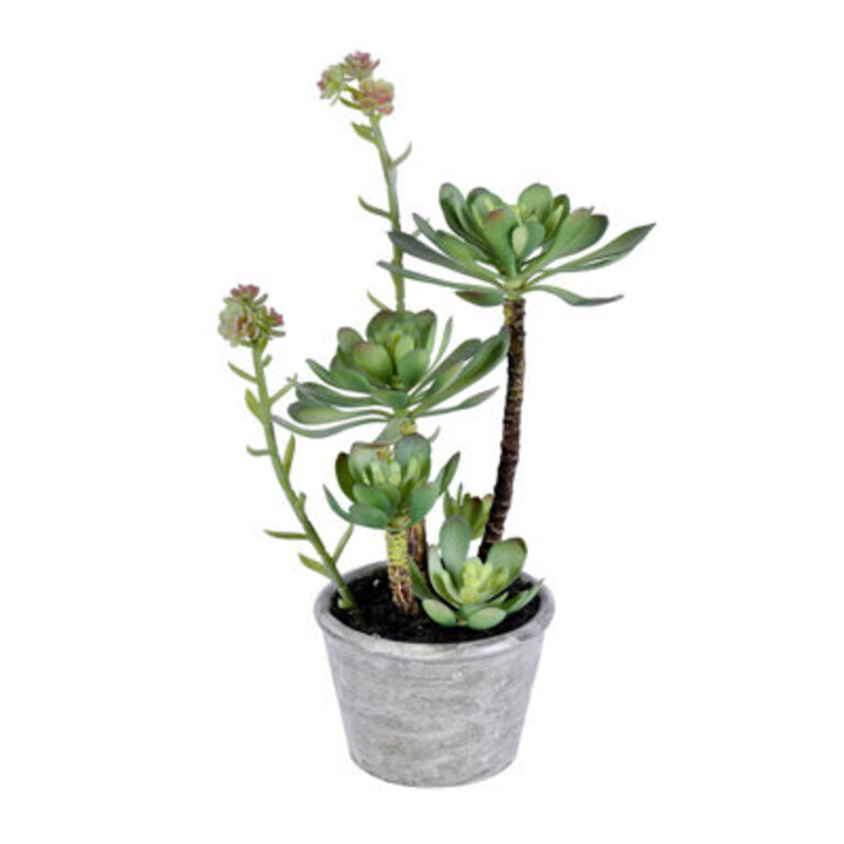 Artificial Succulent in Pot