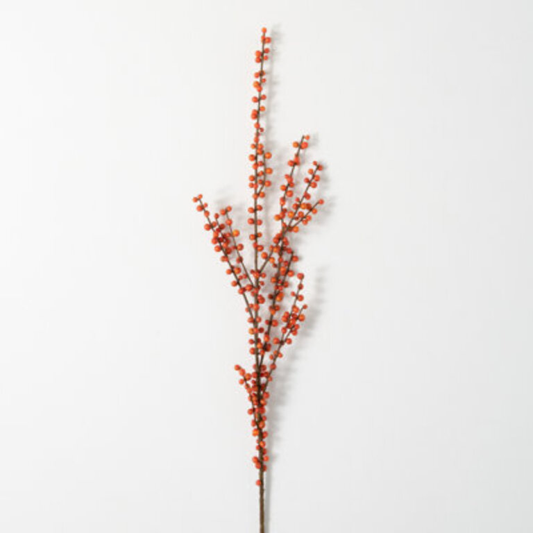 Popel Ilex Arrangement