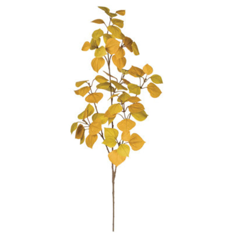 Kanode Aspen Arrangement