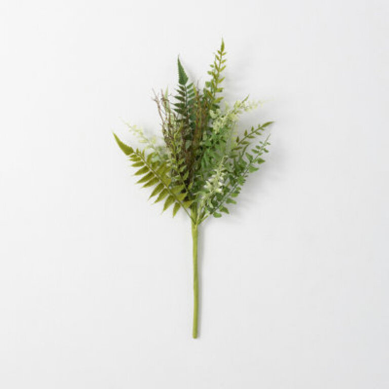 Fern Arrangement
