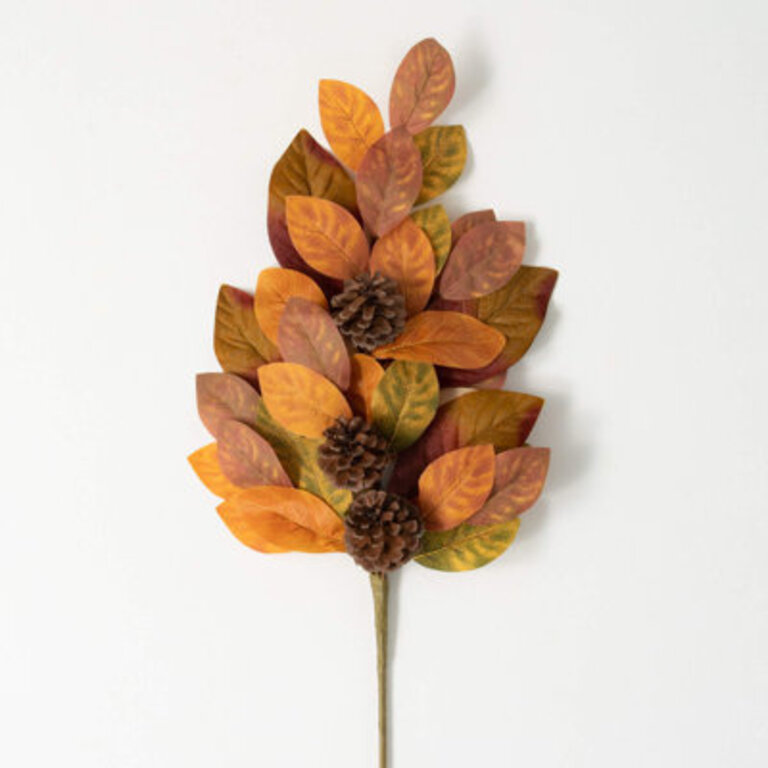 Leaf Arrangement