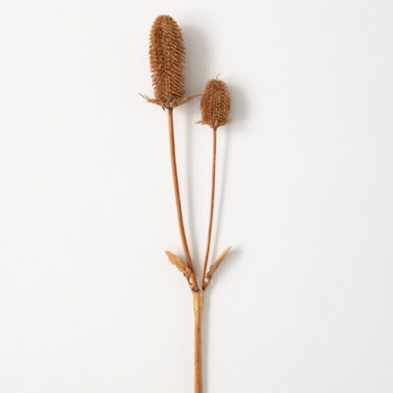 Thistle Arrangement