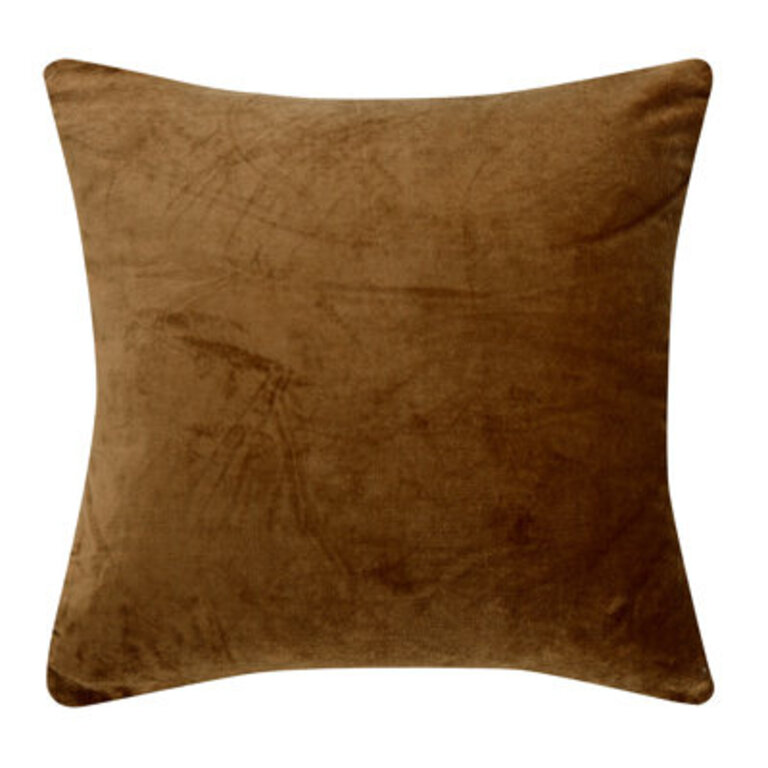Velvet Throw Pillow
