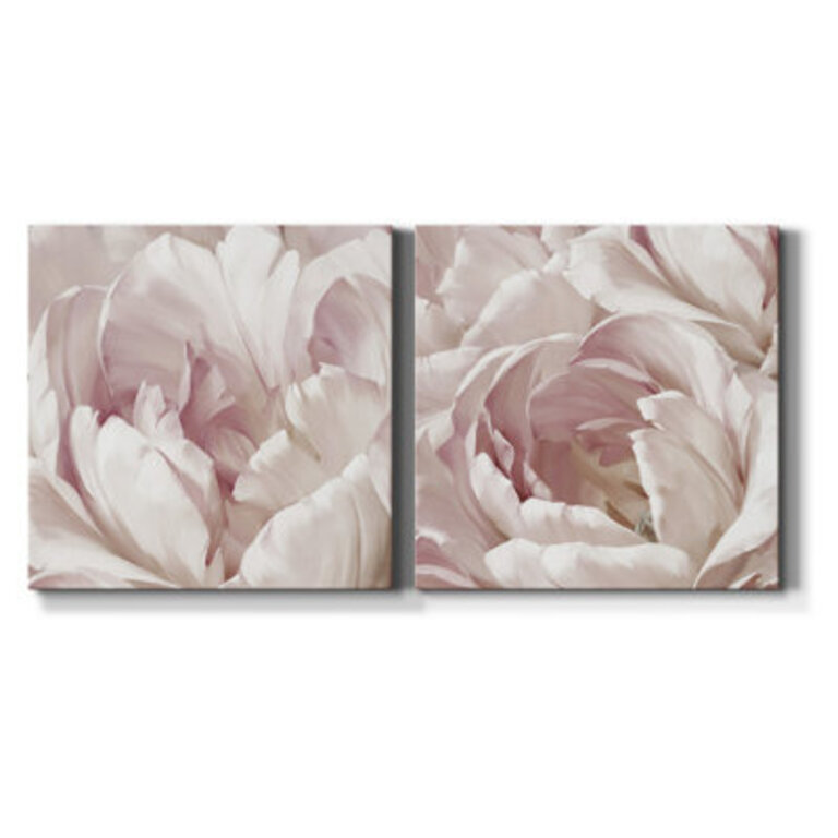 Intimate Blush I  2 - Pieces Painting Print