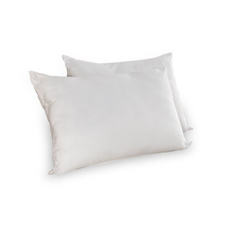 Set of 2 Wayfair Sleep Plush Support Pillows