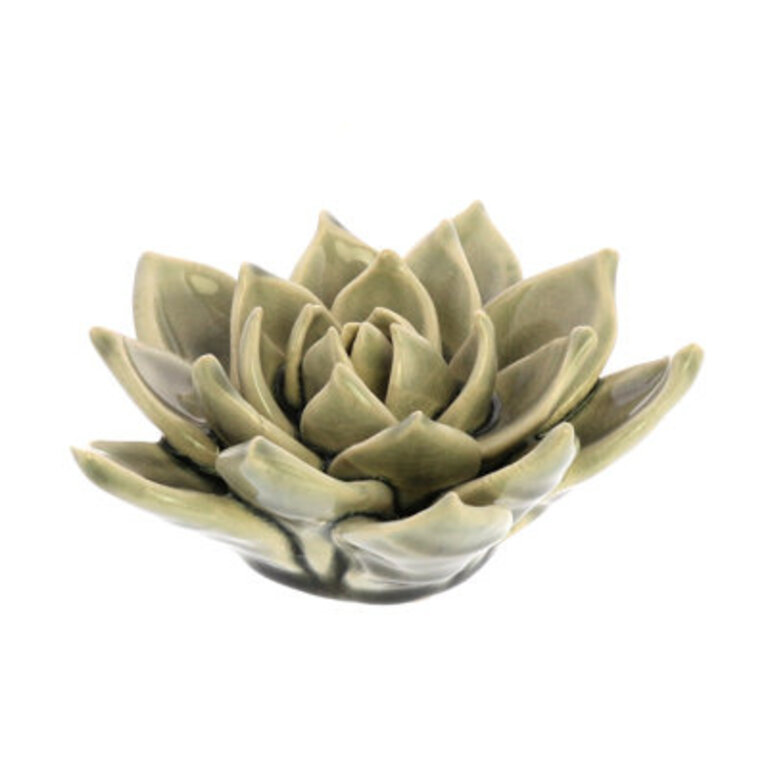 Landaverde Grey Ceramic Succulent