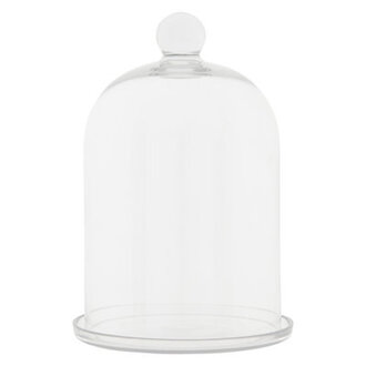 Leo Furniture Cloche Or Water Globe