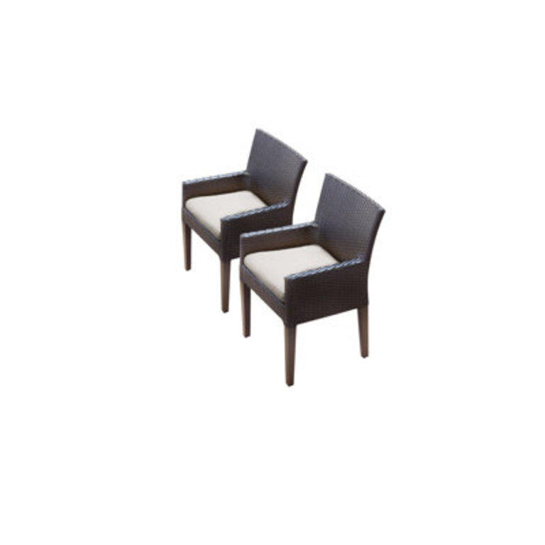 Anastase Polyethylene PE Wicker Wicker Outdoor Dining Armchair with Cushion