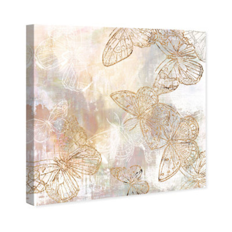 Animals Butterfly Garden Insects