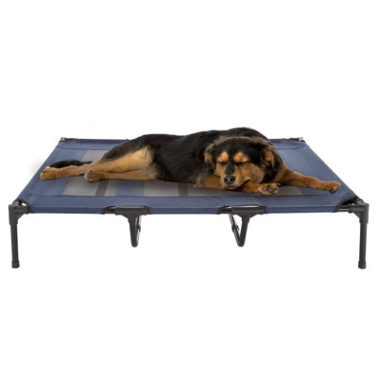PETMAKER Cot-Style Elevated Pet Bed
