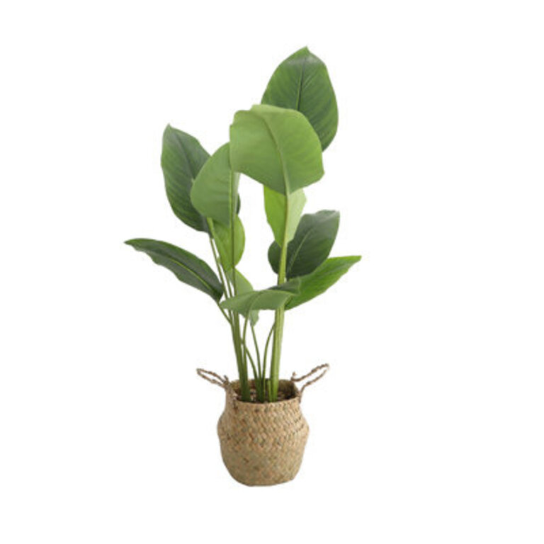 Artificial Banana Leaf in Basket