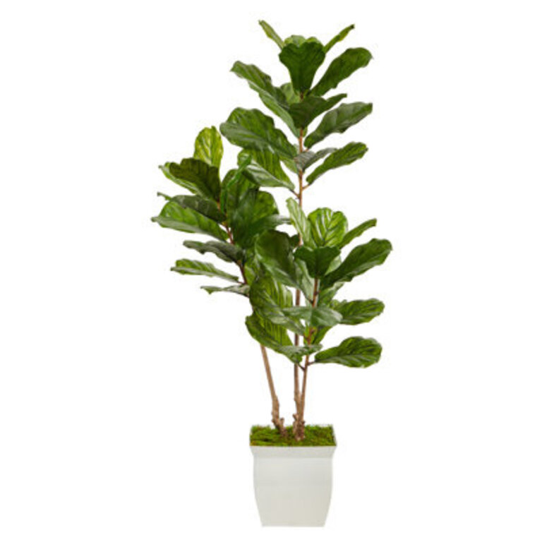 55ft Fiddle Leaf Artificial Tree in White Metal Planter UV Resistant IndoorOutdoor
