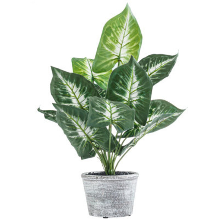 15 Faux Philodendron Taro Plant in Pot