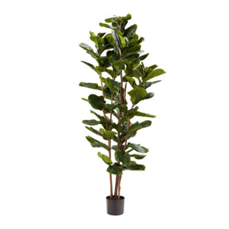Marci Artificial Fiddle Leaf Fig Tree - 6FT Fake Plant with Pot and Natural Feel Leaves for Home or Office Decor - Artificial Plants Indoor