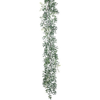 72 Artificial Boxwood Garland
